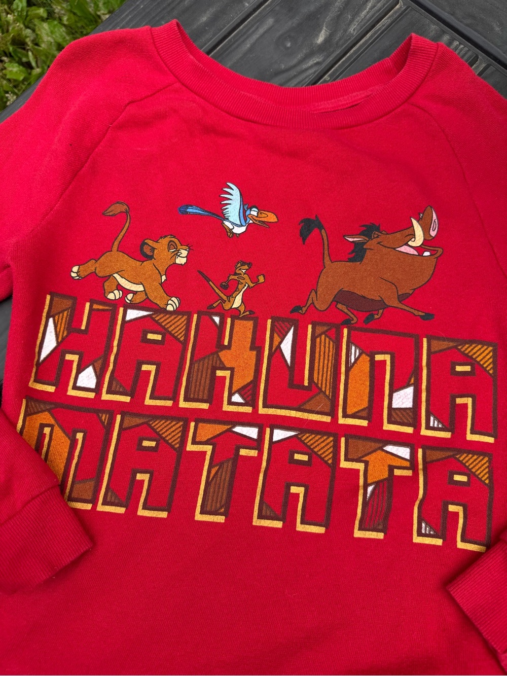 Vintage 90s Lion King Hakuna Matata Disney Red Graphic sweater. Womens small